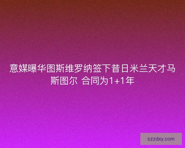 意媒曝华图斯维罗纳签下昔日米兰天才马斯图尔 合同为1+1年